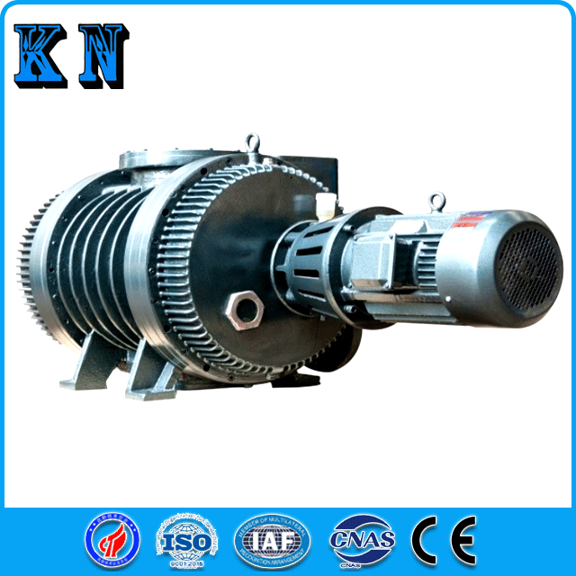 واحد خلاء پمپ سری ZJ Roots Pump-2 Roots