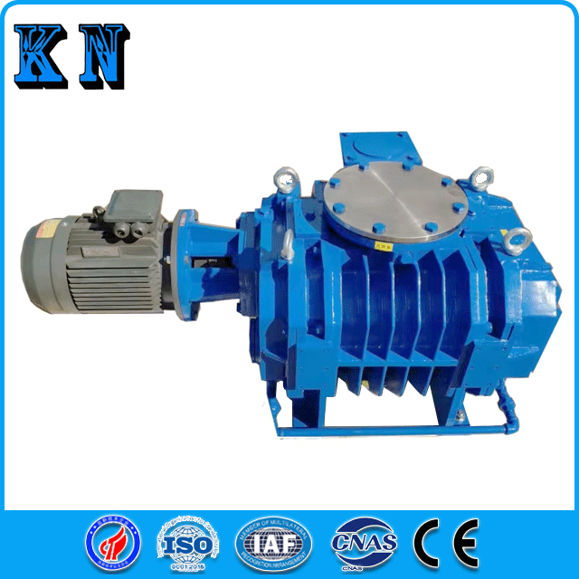 واحد خلاء پمپ سری ZJ Roots Pump-2 Roots