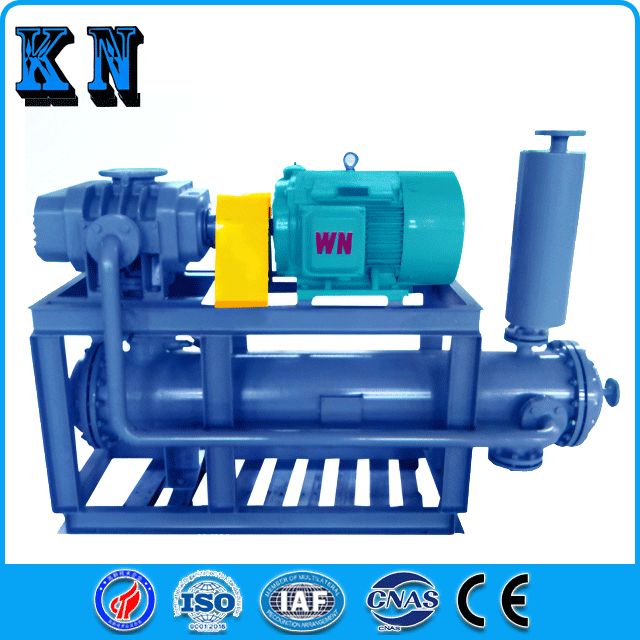 واحد خلاء پمپ سری ZJ Roots Pump-2 Roots