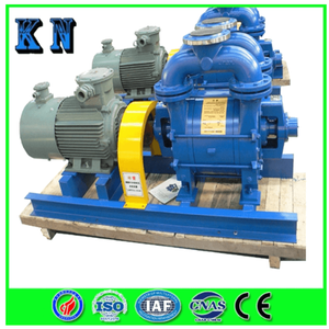  Liquid/Water Ring Vacuum Pump for Food-Related Industry